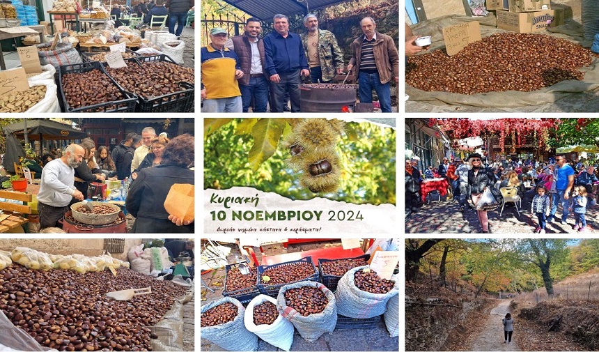 Midilli Adası’nda buram buram kestane kokan festival