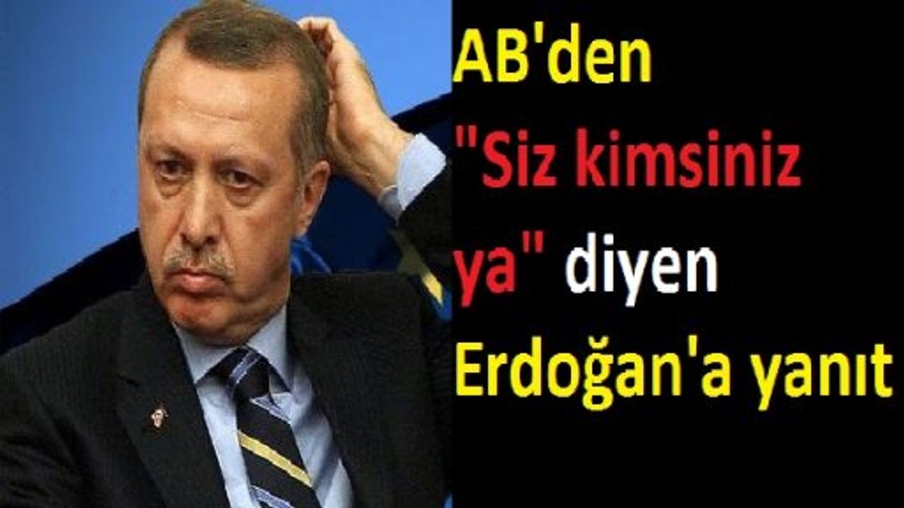 AB'den 'Siz kimsiniz ya' diyen Erdoğan'a yanıt