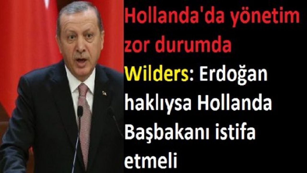Wilders: Erdoğan haklıysa Hollanda Başbakanı istifa etmeli