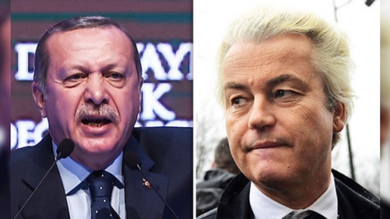 'Wilders Erdoğan ile horoz dövüşünden medet umuyor'