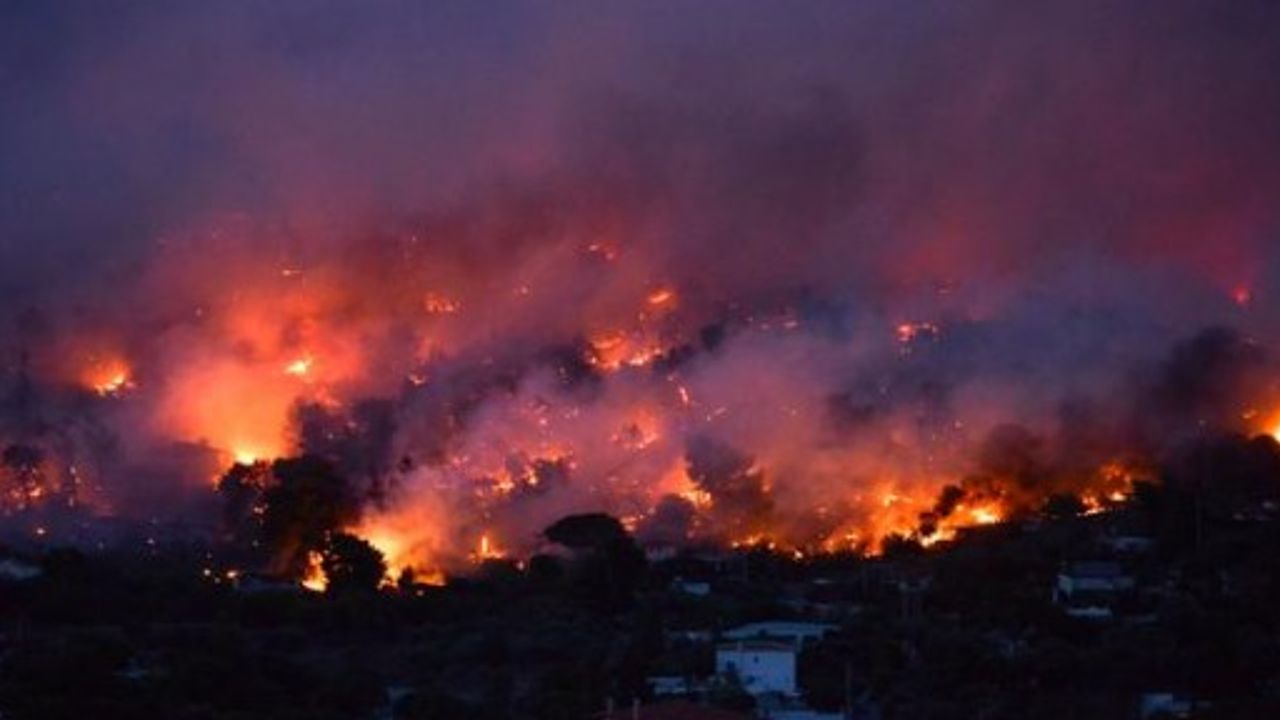 Yunanistan'daki orman yangınlarında 50 ölü