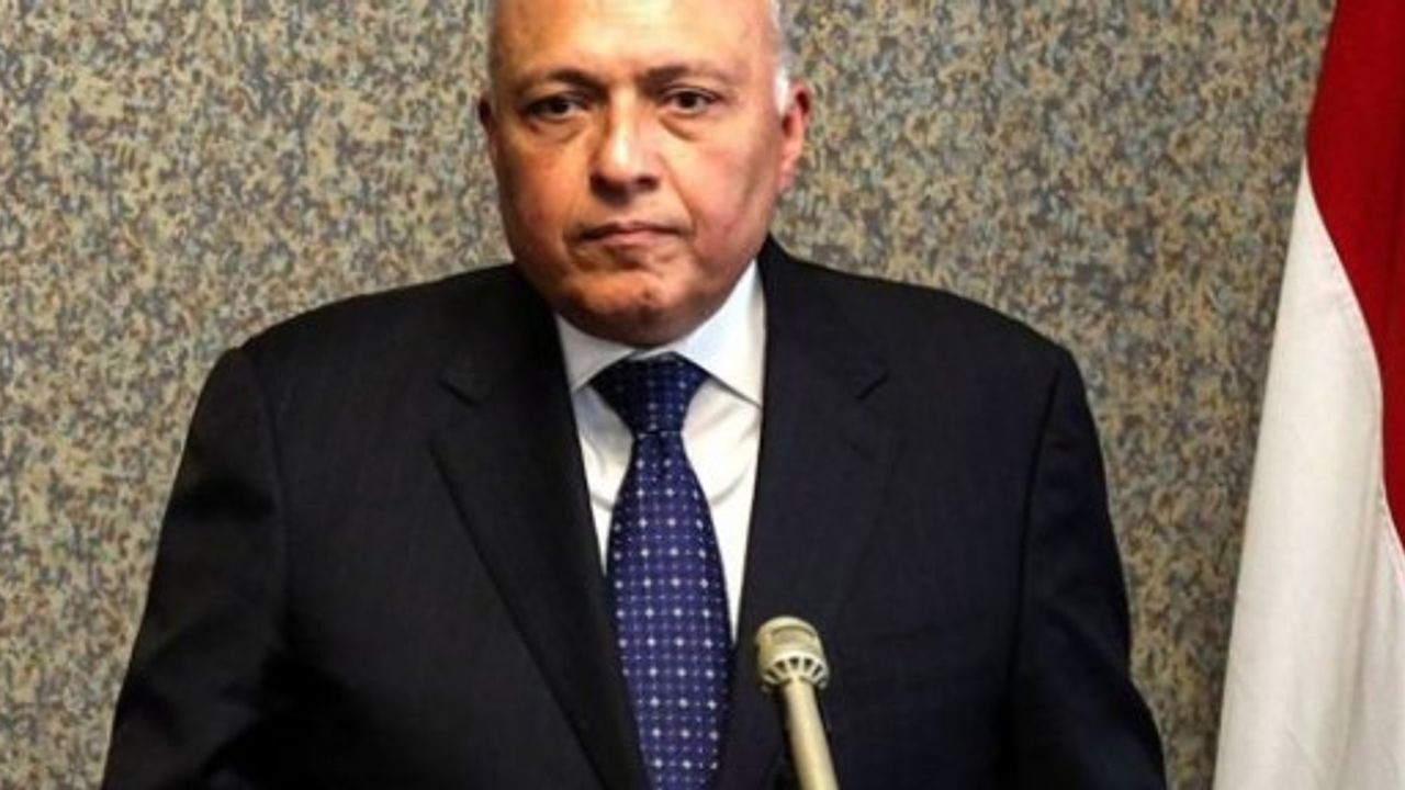 Mısır Dışişleri Bakanı: Erdoğan'ın sorumsuz açıklamalarını kınıyoruz