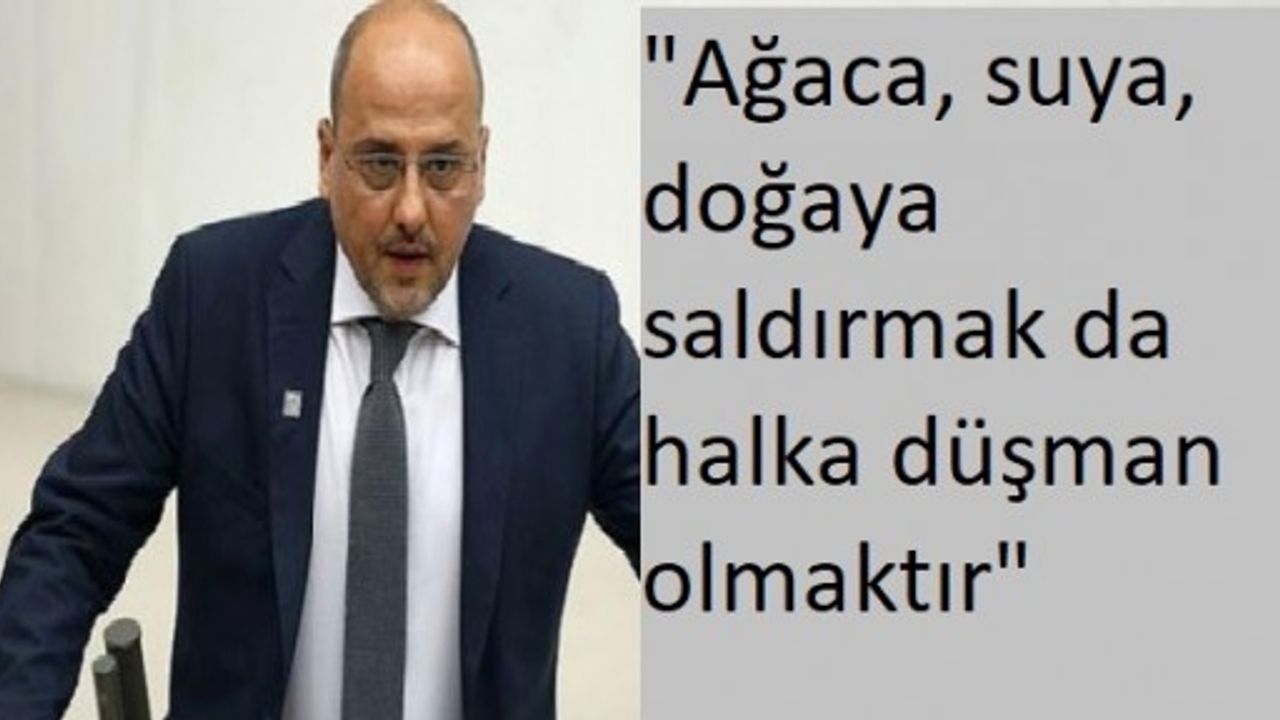Ahmet Şık'tan sert tepki: "Ağaca, suya, doğaya saldırmak da halka düşman olmaktır"