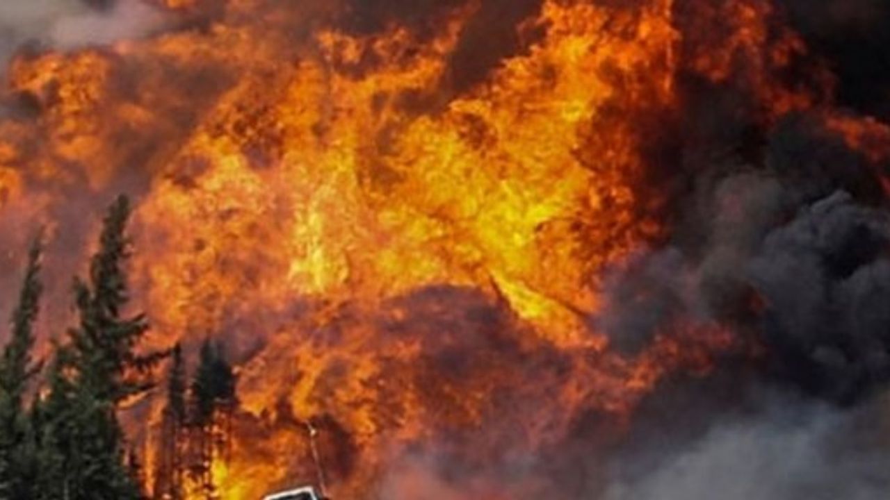 İstanbul ve Muğla’daki orman yangınlarına sabotaj iddiası