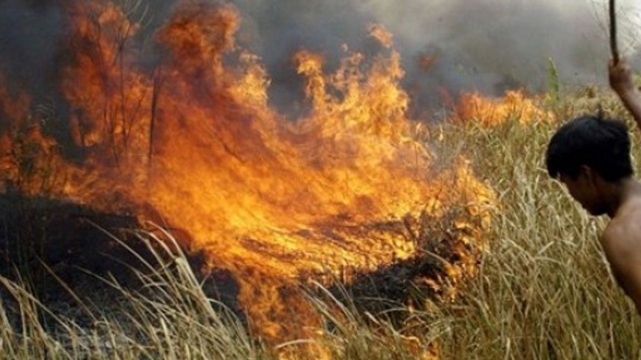 Brezilya’daki yangınlar Peru, Bolivya ve Paraguay'a sıçradı