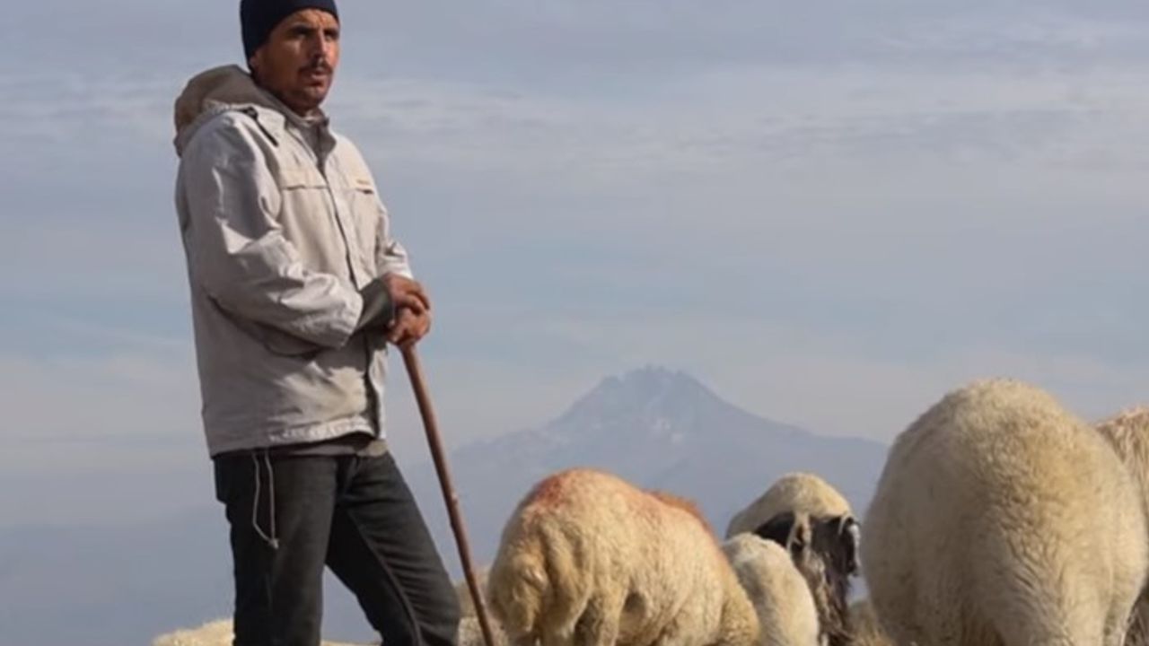 Polislikten çobanlığa: KHK'lı Hasan Karpuz'un hikayesi
