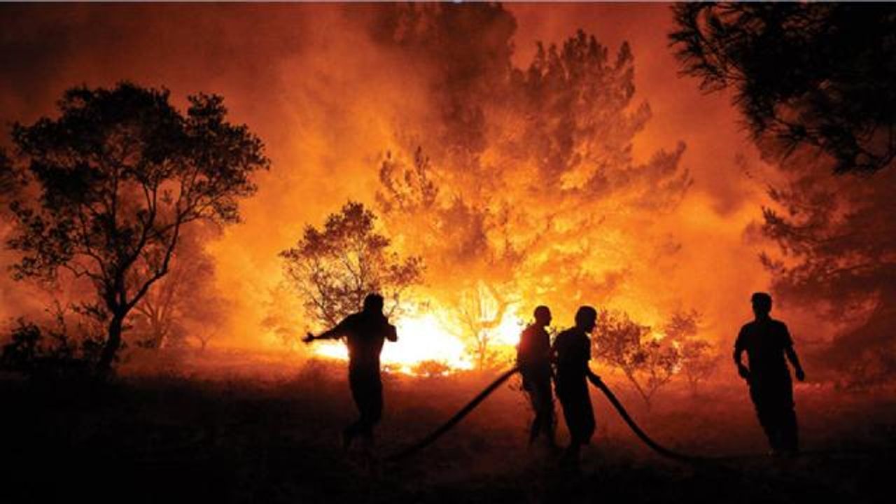 Saysel: Orman yangınlarında temel şey İklim değişikliği