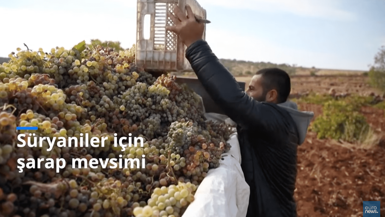 Süryaniler binlerce yıllık şarap kültürünü sürdürüyor