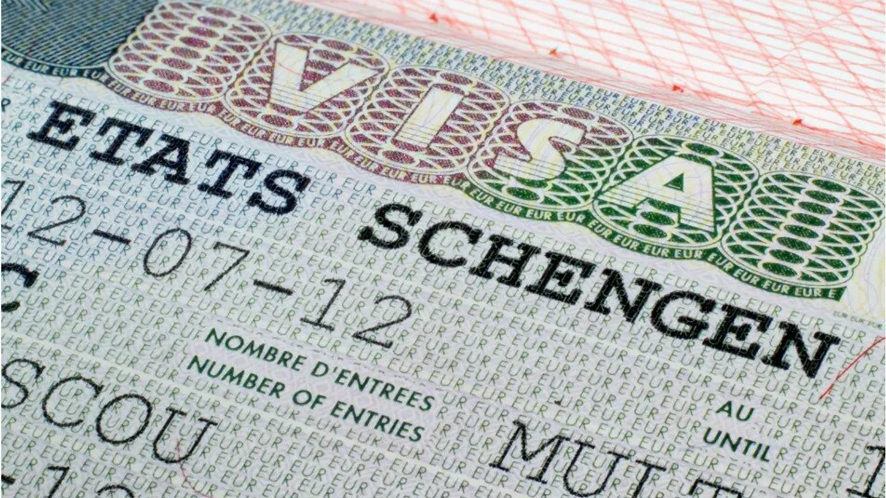 Almanya 400'den fazla depremzedeye vize verdi