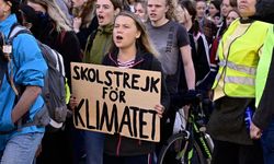 İsveç: Çevre aktivistlerinden devlet hakkında suç duyurusu