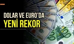 TL'de Euro ve Dolar karşısında rekor değer kaybı