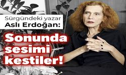 Sürgündeki yazar Erdoğan: Sonunda sesimi kestiler!