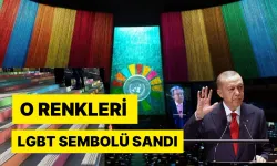 Erdoğan'ın BM'de içine düştüğü trajikomik durum
