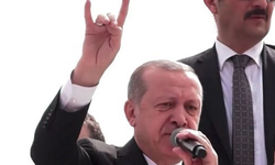 Almanya'da 'Bozkurt' işareti krizi: Erdoğan Berlin'e geliyor
