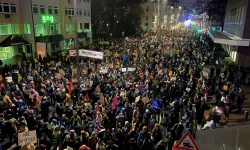 Almanya'da aşırı sağcı AfD'yi protesto için on binler sokağa çıktı