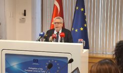 AP Türkiye Raportörü Amor’dan sert eleştiriler: “Hukuk devleti tam bir felaket”