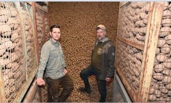 Almanya’da “patates krizi”: 700 ton ürün elde kaldı, çiftçi ücretsiz dağıtıyor