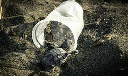 Avrupa’nın plastik atığı Türkiye’nin Akdeniz kıyılarına vuruyor