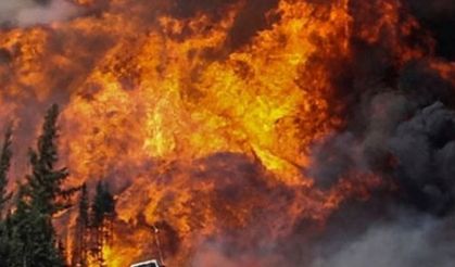 İstanbul ve Muğla’daki orman yangınlarına sabotaj iddiası