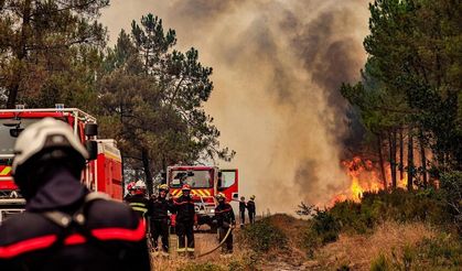 Fransa ve İspanya'daki orman yangınların nedeni iklim değişikliği mi?