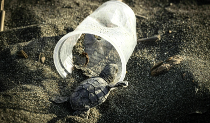Avrupa’nın plastik atığı Türkiye’nin Akdeniz kıyılarına vuruyor