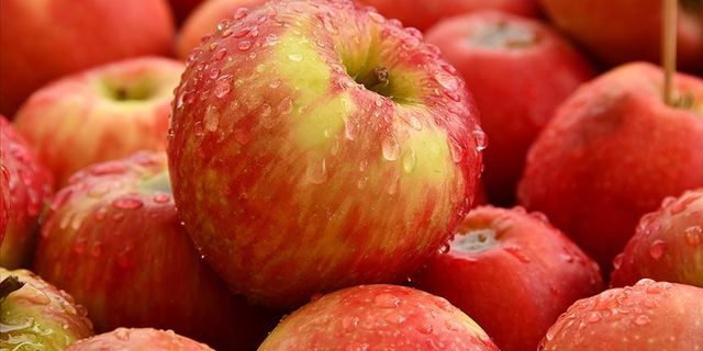 Polonya'da ambargo nedeniyle elma pazarı çöktü
