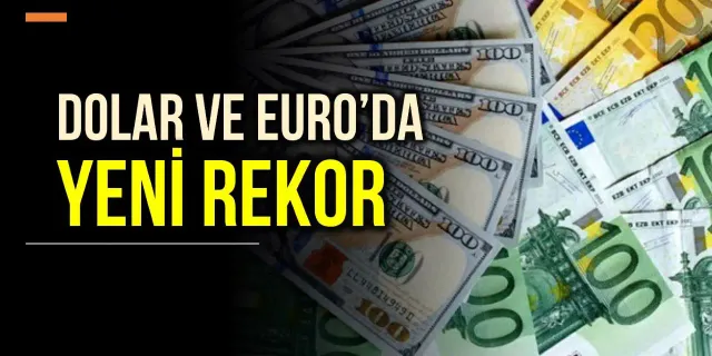 TL'de Euro ve Dolar karşısında rekor değer kaybı