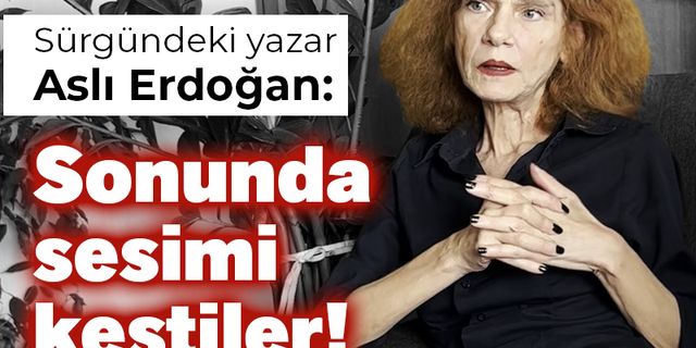 Sürgündeki yazar Erdoğan: Sonunda sesimi kestiler!