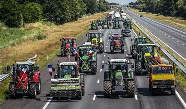 Hollanda: Hükümete tepki gösteren çiftçiler yolu kapattı