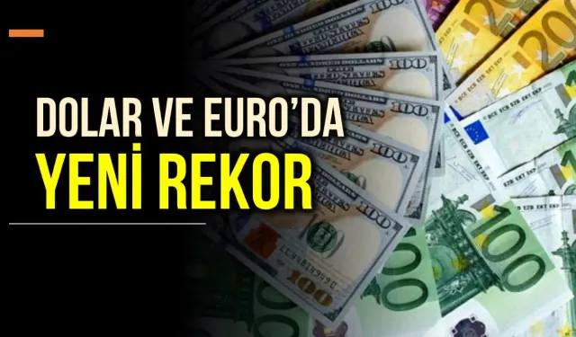 TL'de Euro ve Dolar karşısında rekor değer kaybı