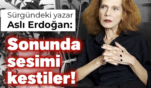 Sürgündeki yazar Erdoğan: Sonunda sesimi kestiler!