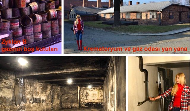 ‘Rayların Bittiği, Vahşetin başladığı Yer; Auschwitz