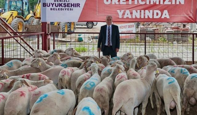 Hayvan üreticilerine büyük destek