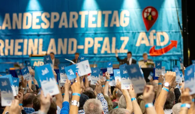 Almanya'da aşırı sağcı AfD üyeleri devlet memuru olamayacak mı?