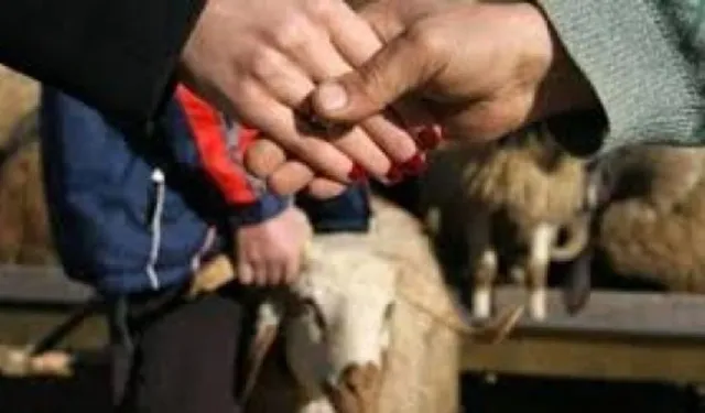 Schleswig-Holstein: İslami bayramlara resmî izin dönemi başlıyor