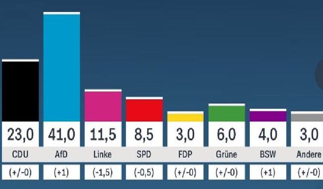 Saksonya-Anhalt’ta AfD açık ara önde: CDU kan kaybediyor