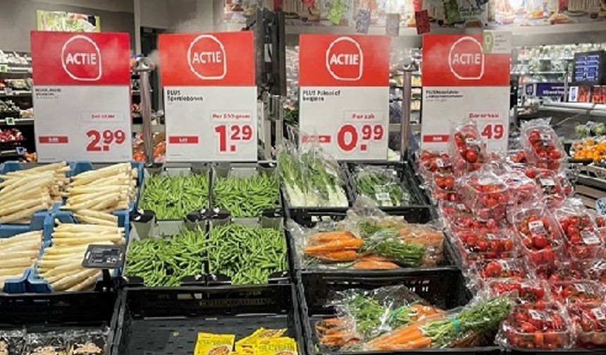 Hollanda: Gıda ve çiçek üretimininde iflaslar bekleniyor